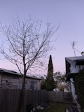 Desc