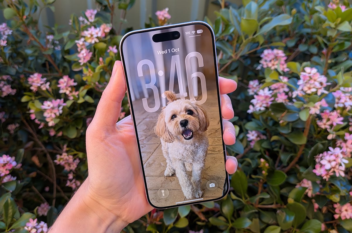 The iPhone 17 is the best-selling smartphone of this year (so far)